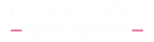 Flamingo Futbol Academy